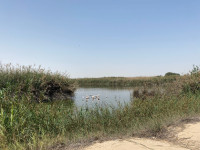 Al Wathba Wetland Reserve